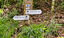 Wandern in Münstertal